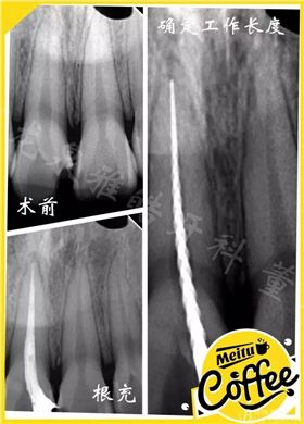 QQ圖片20150710103011.jpg