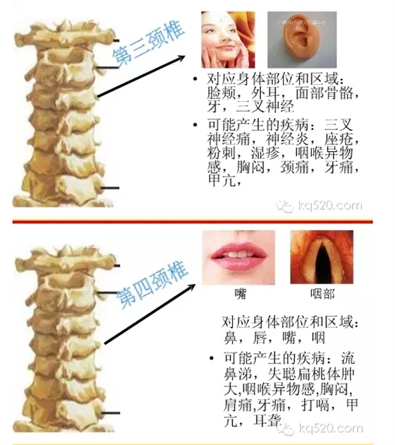 QQ圖片20150710164612.png