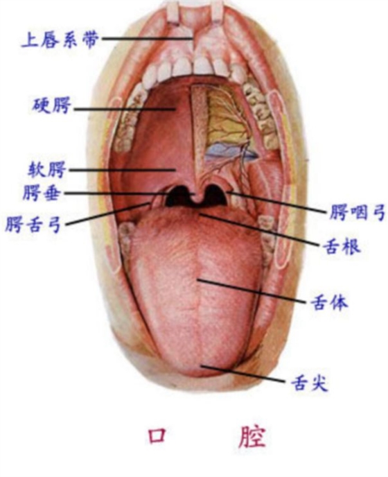 QQ圖片20150814140504.png