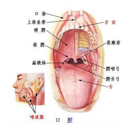 QQ圖片20150814140539.png