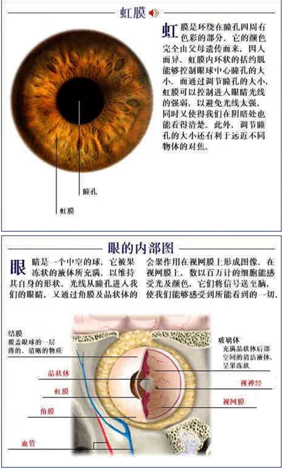 QQ圖片20150815170641.png