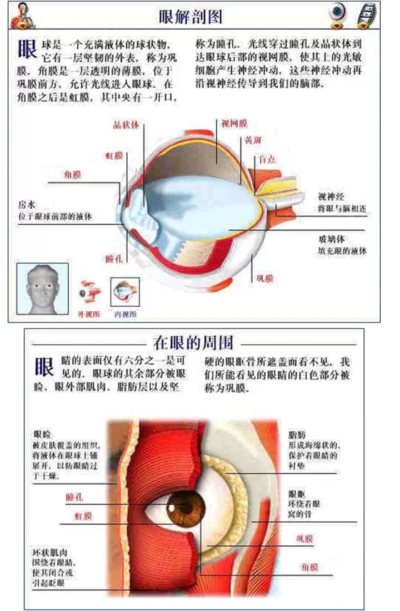 QQ圖片20150815170652.png