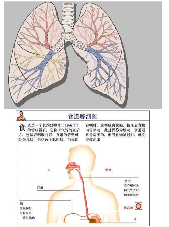 QQ圖片20150815170833.png