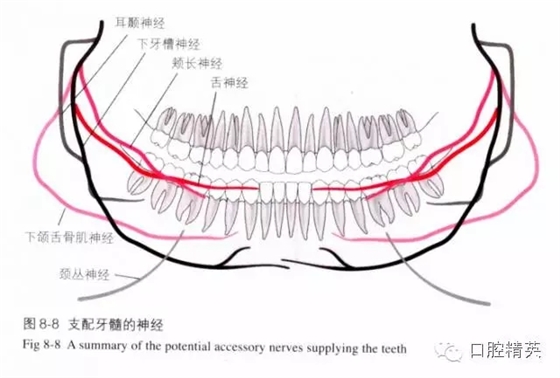 分析局部麻醉失敗的常見原因