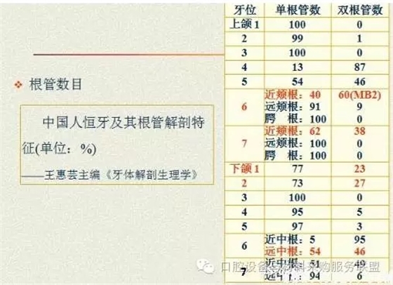 超實用的根管口的探查術