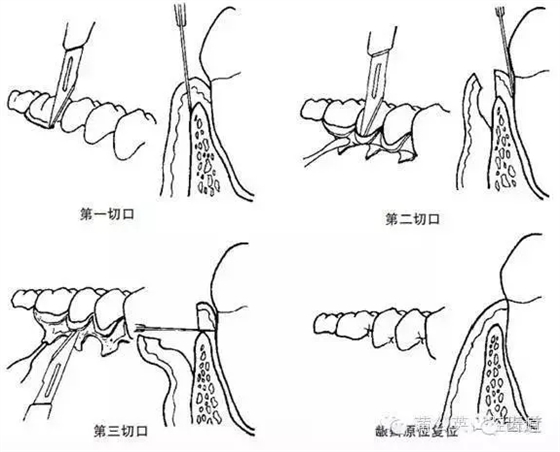 640.webp (16).jpg