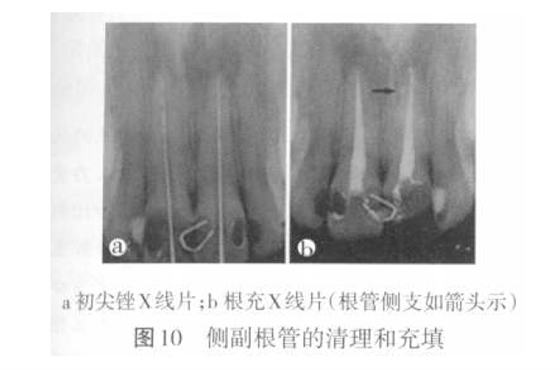 QQ截圖20160803114320.jpg