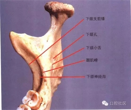 口腔醫生必讀：“急診搶救”預案