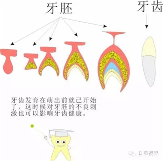 【口腔科普】愛牙從這里開始——愛牙科普知識300問（連載五）