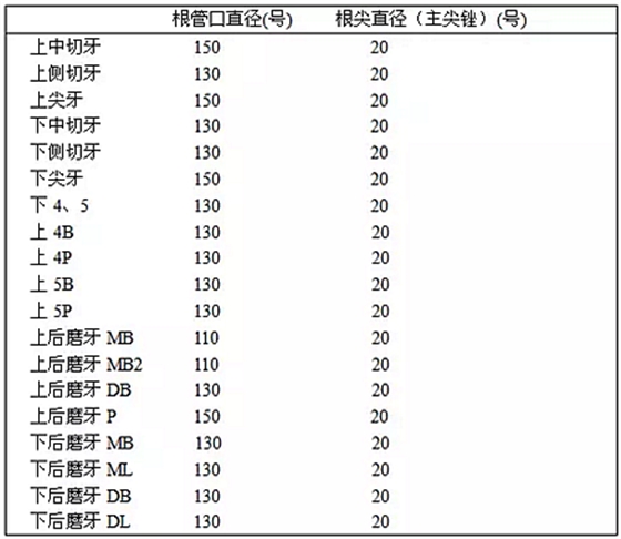 知識分享：根管治療的標準步驟