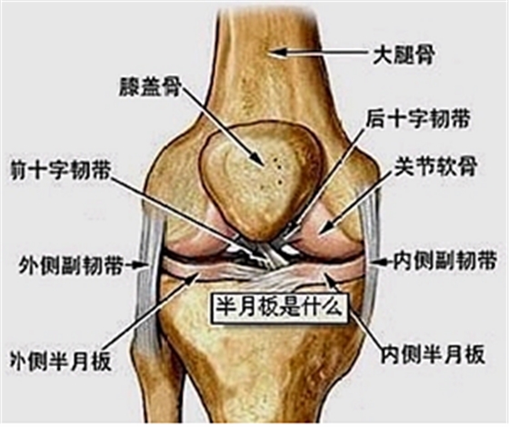 膝關節痛要注意什么