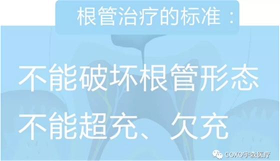 廠家來解說：多頻技術的根管長度測定儀