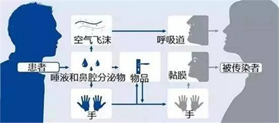 冠狀病毒在空氣中能活多久？