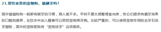 牙醫；關于牙齒的21個問題，答案就在這！