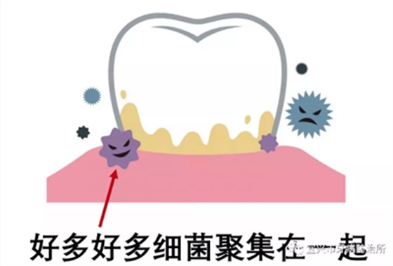 上海品瑞邁格磁致伸縮治療儀 患者之愛