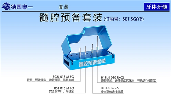 德國奧一髓腔預備套裝