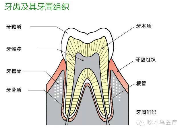 QQ圖片20150710135853.png