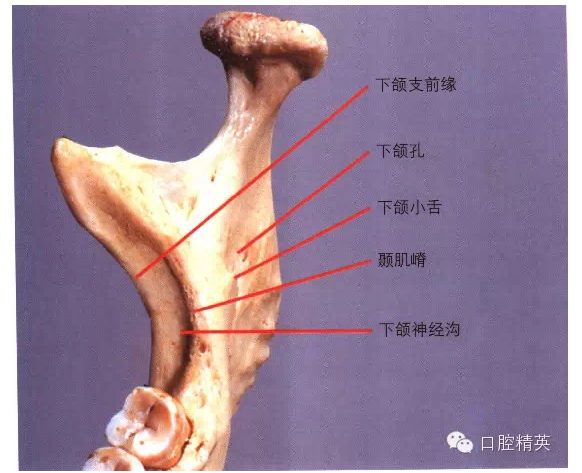 QQ圖片20150717091659.png