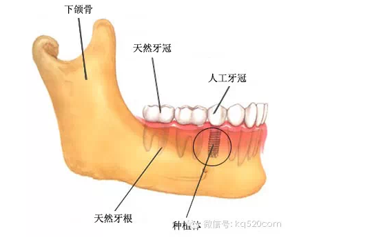 QQ圖片20150721100208.png