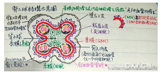 版權歸原作者