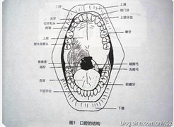 QQ圖片20150721132742.png