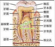 QQ圖片20150721133335.png