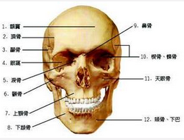 QQ圖片20150721134801.png