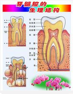 QQ圖片20150721135644.png