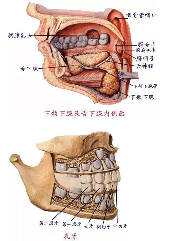 QQ圖片20150731101929.png