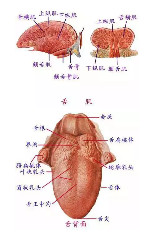 QQ圖片20150731101943.png