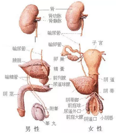 QQ圖片20150815170253.png