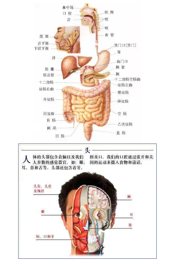 QQ圖片20150815170458.png