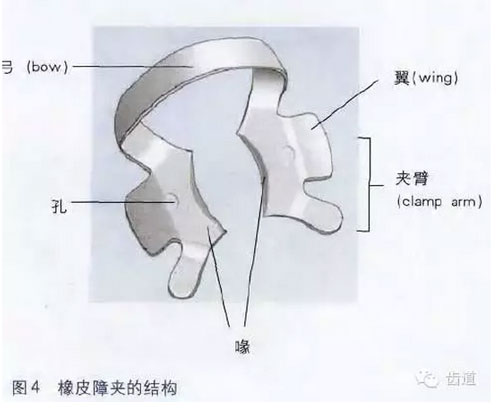 橡皮障的臨床運用大全