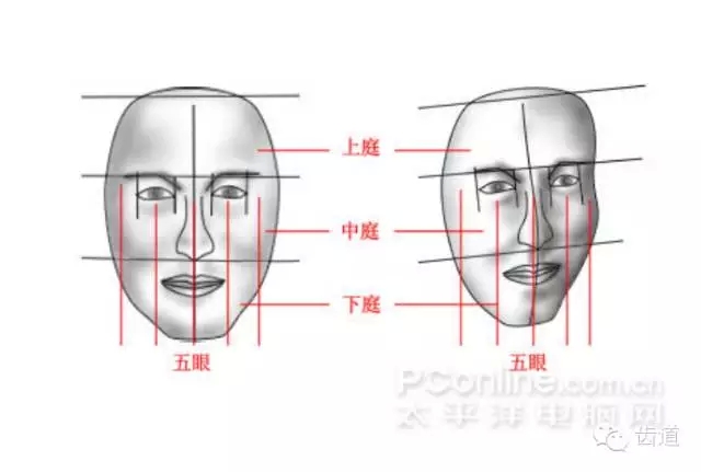 牙醫基礎知識：口腔頜面部應用解剖生理