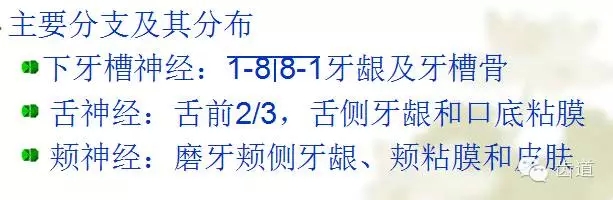 牙醫基礎知識：口腔頜面部應用解剖生理