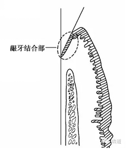 QQ圖片20160825170248.png