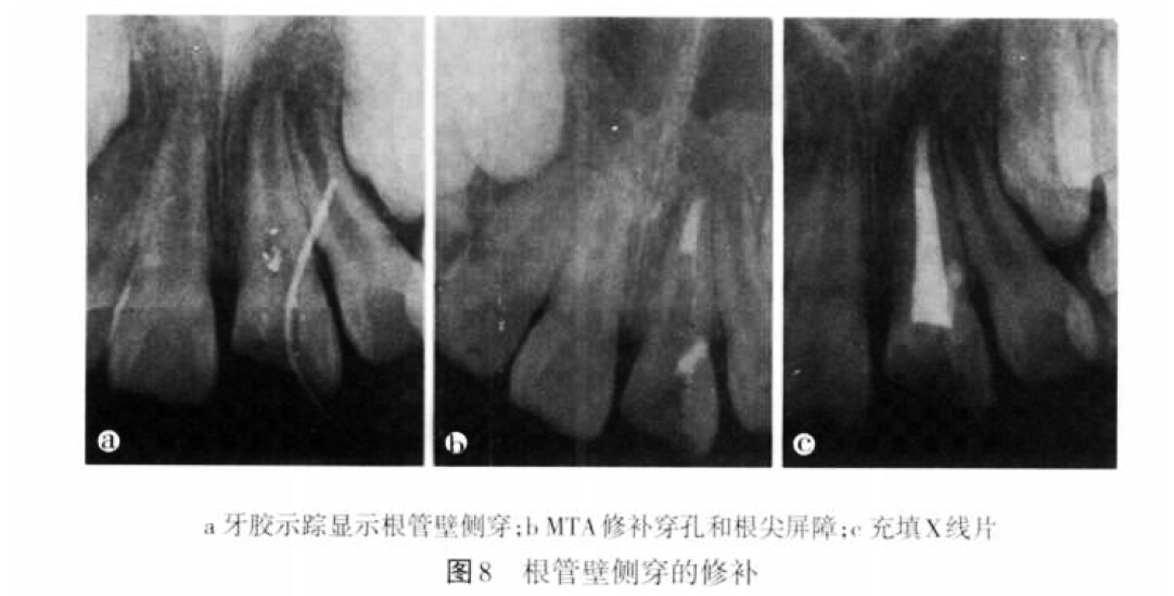 QQ截圖20160803132638.jpg