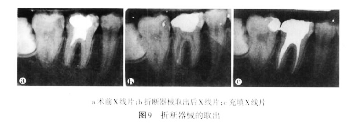 QQ截圖20160803132644.jpg