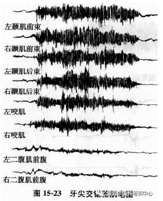 溫故知新 口腔解剖生理學（35）.png