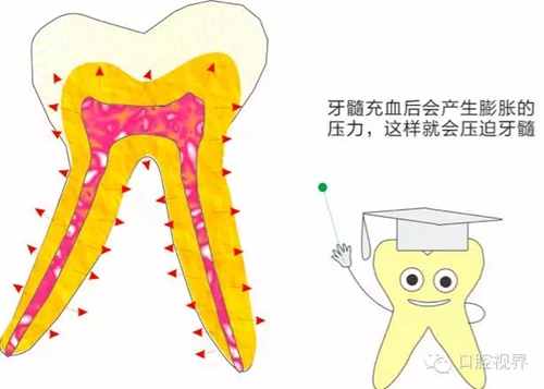 【愛牙科普知識300問】 “什么是牙齦萎縮？”