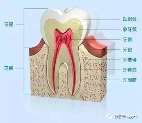 1.webp.jpg