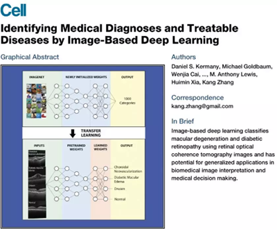 《細(xì)胞》重磅：中國科學(xué)家研發(fā)的AI影像診斷系統(tǒng)首登頂級(jí)期刊，可診斷眼病和肺炎兩大類疾病，準(zhǔn)確性匹敵頂尖醫(yī)生 | 科學(xué)大發(fā)現(xiàn)