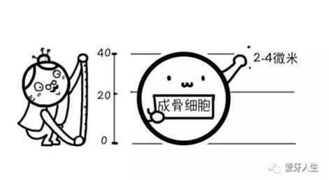 如何選擇種植牙，給《患者》推薦這篇文章就足矣