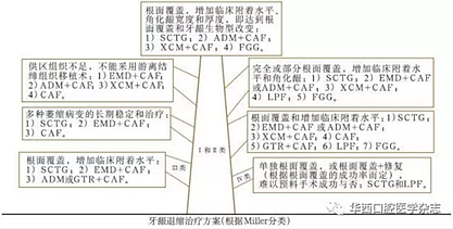 2016口腔醫師資格考試-口組-牙周膜