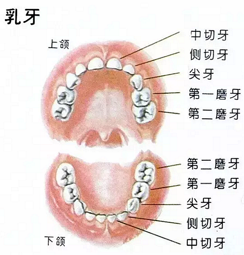 彭麗媛《戰士與母親》