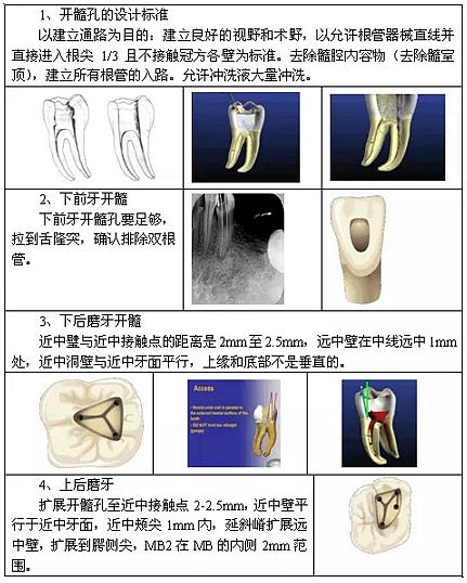 知識分享：根管治療的標準步驟