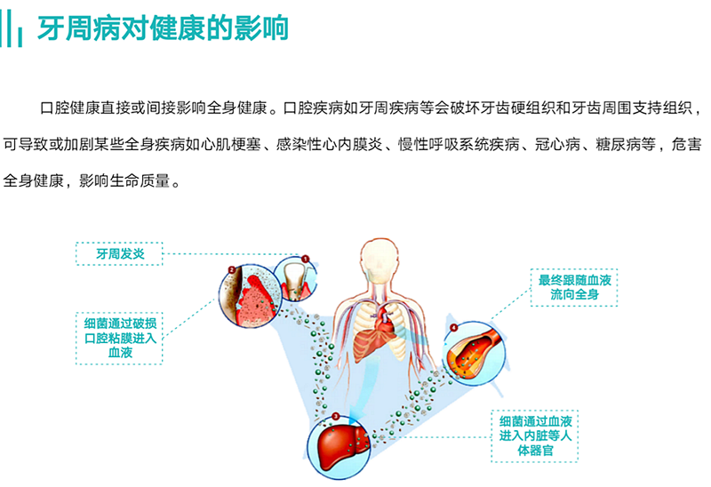 牙周病對健康的影響