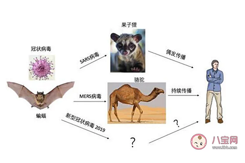 新型冠狀病毒感染了一定會發熱嗎？新型冠狀病毒前期的癥狀有哪些？