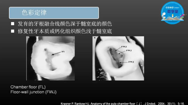 （第二十五期）微學(xué)堂回顧