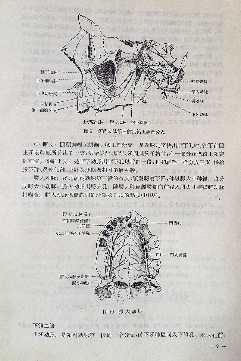 《實用拔牙學》一級教授陳華主編